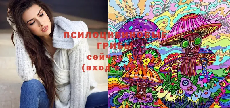 Псилоцибиновые грибы Psilocybe  купить закладку  Богданович 